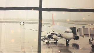 Stewardess – Karuna Satori